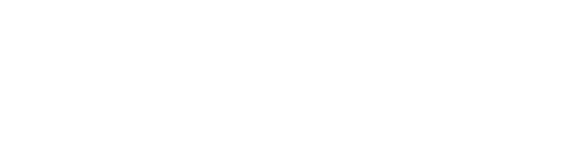 Officieel partner Disneyland Paris